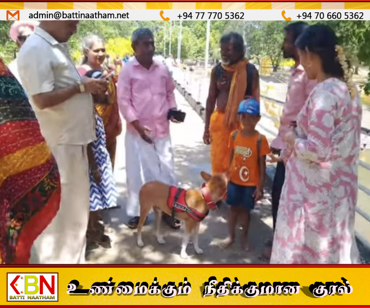 பாதயாத்திரை குழுவிலிருந்து பிரிக்கப்பட்ட ‘சுப்பிரமணியம்’ நாய் உரிமையாளருடன் கதிர்காமம் சென்றது!