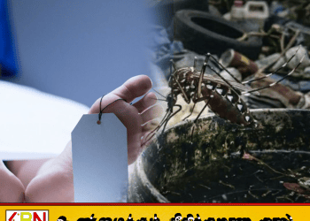 நாட்டில் டெங்கு உயிரிழப்புகள் 42 ஆக உயர்வு; 63,000க்கும் அதிகமானோர் பாதிப்பு!