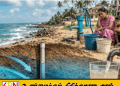 நெடுந்தீவில் குடிநீர் பிரச்சினைக்கு நிரந்தர தீர்வு அவசியம்; ஈ.பி.டி.பி. வலியுறுத்தல்!