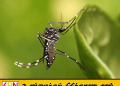 பல்கலைக்கழகங்களை மூடுவதற்கு நடவடிக்கை; உயர் கல்வி பிரதி அமைச்சர்!