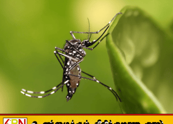 பல்கலைக்கழகங்களை மூடுவதற்கு நடவடிக்கை; உயர் கல்வி பிரதி அமைச்சர்!