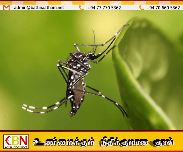 பல்கலைக்கழகங்களை மூடுவதற்கு நடவடிக்கை; உயர் கல்வி பிரதி அமைச்சர்!