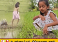 சமூக ஊடகங்களில் கவனம் பெற்ற இலங்கை சிறுமியும் முள்ளம்பன்றியும்!