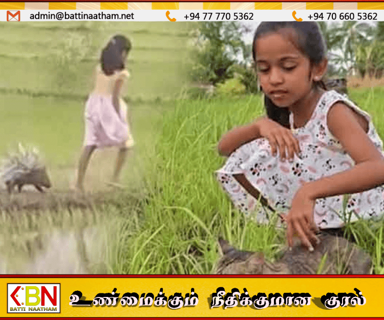 சமூக ஊடகங்களில் கவனம் பெற்ற இலங்கை சிறுமியும் முள்ளம்பன்றியும்!
