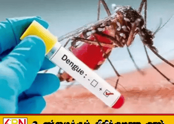 யாழில் டெங்கு நோயாளர்கள் சடுதியாக அதிகரிப்பு!