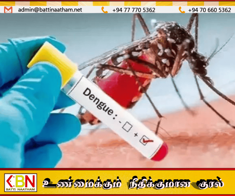 யாழில் டெங்கு நோயாளர்கள் சடுதியாக அதிகரிப்பு!
