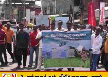 நெல் விலையை உயர்த்தக் கோரி விவசாயிகள் போராட்டம்; A9 வீதி ரம்பேவ சந்தியில் போக்குவரத்து பாதிப்பு!