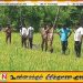 வெல்லாவெளி வயல் நிலத்தில் 58 வயது நபரின் சடலம் மீட்பு!