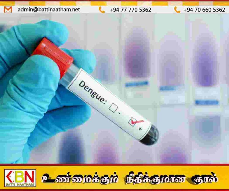 டெங்கு நோயாளர்களின் எண்ணிக்கை 57000 ஐ கடந்தது!