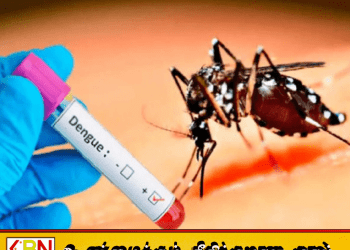 இலங்கையில் டெங்கு பரவல் தீவிரம்; நோயாளர்களின் எண்ணிக்கை 55 ஆயிரத்தை கடந்தது!