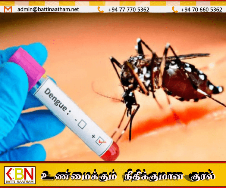 இலங்கையில் டெங்கு பரவல் தீவிரம்; நோயாளர்களின் எண்ணிக்கை 55 ஆயிரத்தை கடந்தது!