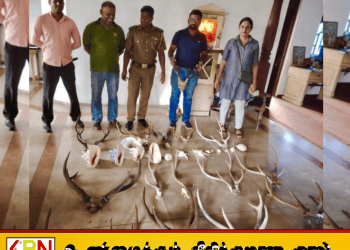 கலகெடிஹேனில் பாதுகாக்கப்பட்ட வனவிலங்குகளின் பாகங்களுடன் பெண் கைது!