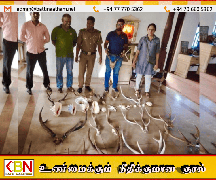 கலகெடிஹேனில் பாதுகாக்கப்பட்ட வனவிலங்குகளின் பாகங்களுடன் பெண் கைது!