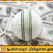 Jaffna Kings அணியின் உரிமையாளர் உள்ளிட்ட இருவருக்கு விளக்கமறியல்