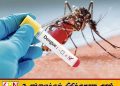 டெங்கு அபாயம் அதிகரிப்பு; அலட்சியப்படுத்துவோருக்கு ரூ.25,000 அபராதம்