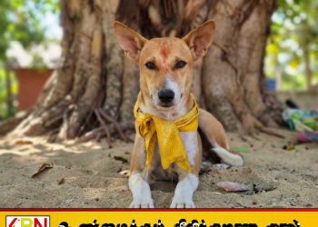 கதிர்காம காட்டுப்பாதையில் பயணிக்க சுப்பிரமணிக்கு அனுமதி மறுப்பு