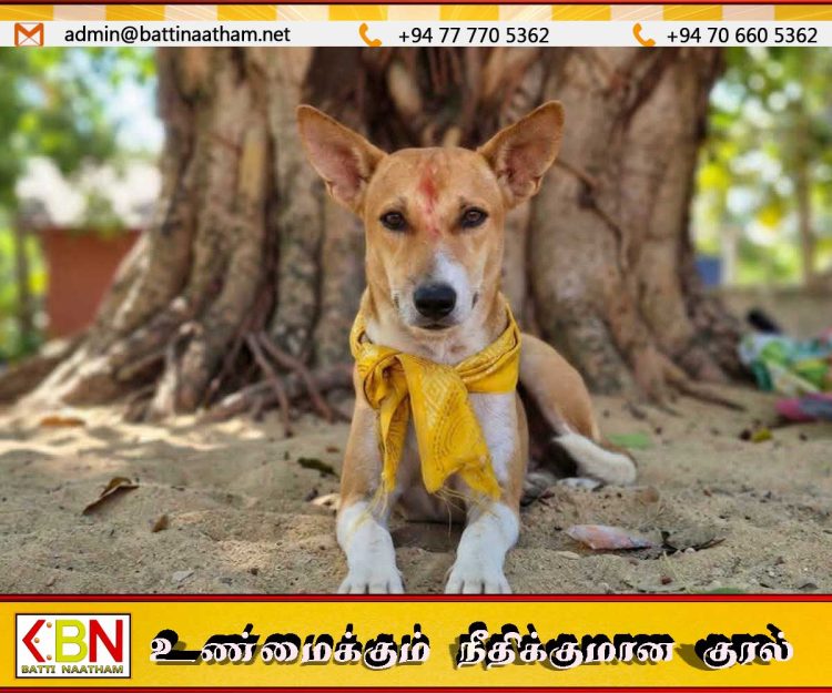 கதிர்காம காட்டுப்பாதையில் பயணிக்க சுப்பிரமணிக்கு அனுமதி மறுப்பு