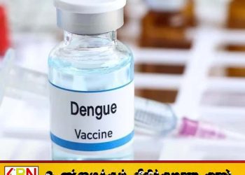 இலங்கைக்கு டெங்கு தடுப்பூசி வருகிறதா?;அனுமதி கோரி அரசு நடவடிக்கை!