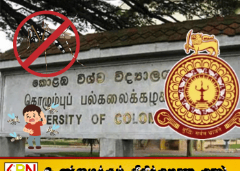 கொழும்பு பல்கலைக்கழக மாணவர்களிடையே வேகமாக பரவும் டெங்கு!
