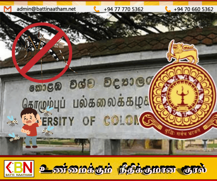 கொழும்பு பல்கலைக்கழக மாணவர்களிடையே வேகமாக பரவும் டெங்கு!