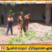 மட்டு நகரில் சுகாதார வைத்திய அதிகாரிஅலுவலகமும் இராணுவத்தினரும் இணைந்து சிரமதானம்
