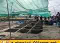 செம்மணி என்புக்கூடுகளை பார்க்கும்போது குற்றம் நடந்து அவசரமாக புதைக்கப்பட்டது போல் தெரிகிறது