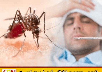 நாட்டில் டெங்கு பாதிப்பு தீவிரம்; நோயாளர்கள் எண்ணிக்கை 68 ஆயிரத்தைத் தாண்டியது!