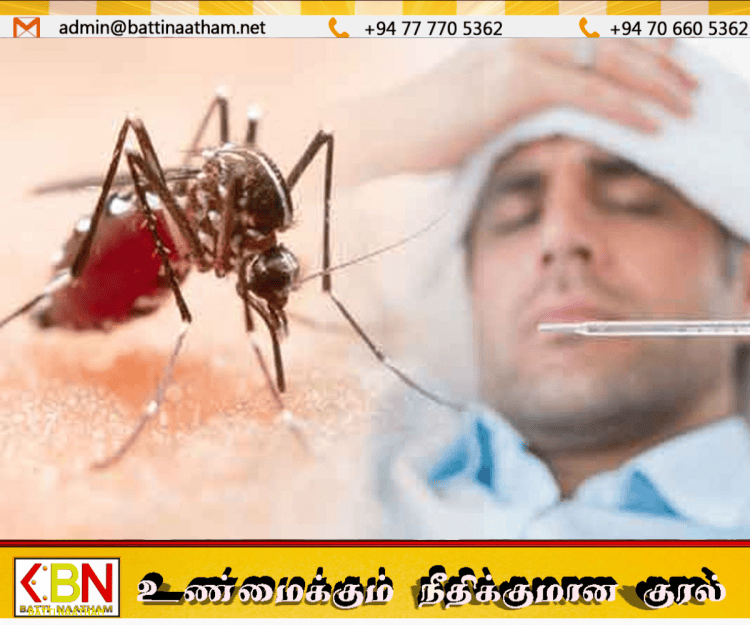 நாட்டில் டெங்கு பாதிப்பு தீவிரம்; நோயாளர்கள் எண்ணிக்கை 68 ஆயிரத்தைத் தாண்டியது!