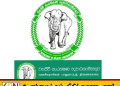 வனஜீவராசிகள் திணைக்கள ஊழியர்கள் சுகயீன விடுமுறை போராட்டம்!