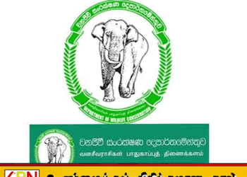 வனஜீவராசிகள் திணைக்கள ஊழியர்கள் சுகயீன விடுமுறை போராட்டம்!