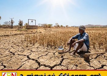 வறட்சியால் பயிர் பாதிக்கப்பட்ட விவசாயிகளுக்கு இழப்பீடு