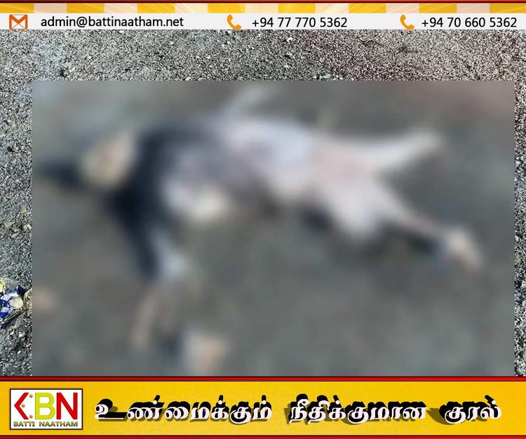புங்குடுதீவு பகுதியில் உருக்குலைந்த நிலையில் காணப்படும் சடலம்