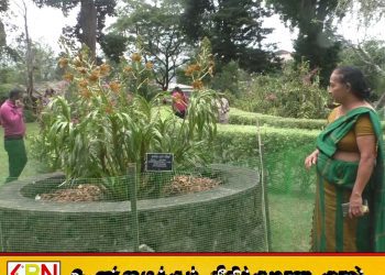 16 ஆண்டுகளுக்குப் பிறகு பேராதனையில் பூத்த உலகின் மிகப்பெரிய ஓர்க்கிட் மலர்