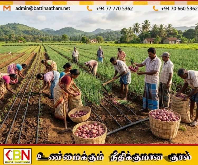 உள்நாட்டு பெரிய வெங்காய உற்பத்தியை அதிகரிக்க திட்டம்!