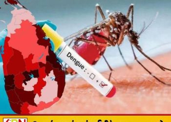 இலங்கையில் டெங்கு பாதிப்பு 92,000ஐ கடந்தது; 68 பேர் உயிரிழப்பு!
