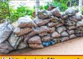 கற்பிட்டியில் சட்டவிரோதமாக சங்கு பதுக்கிய இருவர் கைது!
