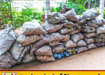 கற்பிட்டியில் சட்டவிரோதமாக சங்கு பதுக்கிய இருவர் கைது!
