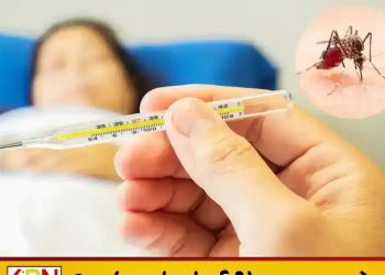 இலங்கையில் டெங்கு நோயாளர்கள் 88 ஆயிரத்தை கடந்தனர்; 63 உயிரிழப்புகள் பதிவு!