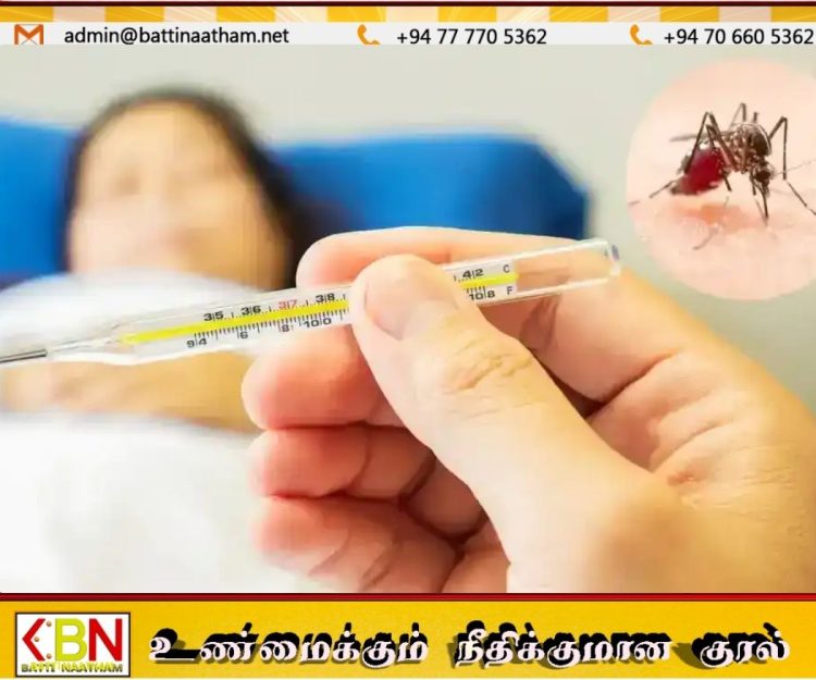 இலங்கையில் டெங்கு நோயாளர்கள் 88 ஆயிரத்தை கடந்தனர்; 63 உயிரிழப்புகள் பதிவு!