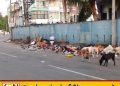 கல்முனையில் குவியும் குப்பைகள்; உடனடி நடவடிக்கை எடுக்க மக்கள் கோரிக்கை!