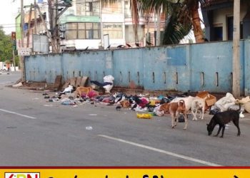 கல்முனையில் குவியும் குப்பைகள்; உடனடி நடவடிக்கை எடுக்க மக்கள் கோரிக்கை!