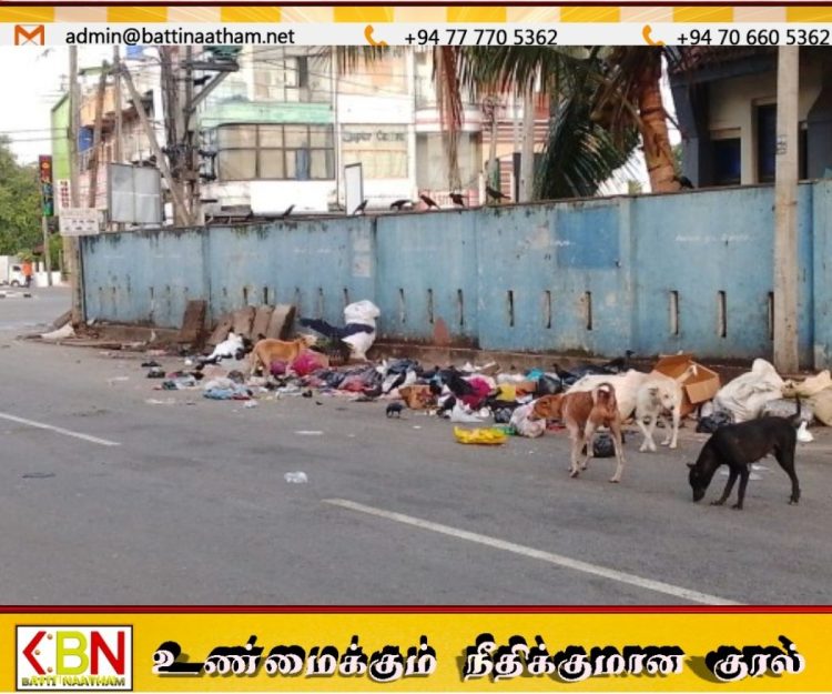 கல்முனையில் குவியும் குப்பைகள்; உடனடி நடவடிக்கை எடுக்க மக்கள் கோரிக்கை!