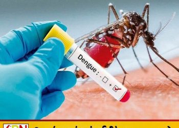 நாட்டில் டெங்கு மரணங்கள் 68 ஆக உயர்வு; 91,059 பேர் பாதிப்பு!