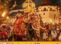‘கப்’ நடும் நிகழ்வுடன் ஆரம்பமான கண்டி எசல பெரஹெரா சடங்குகள்!