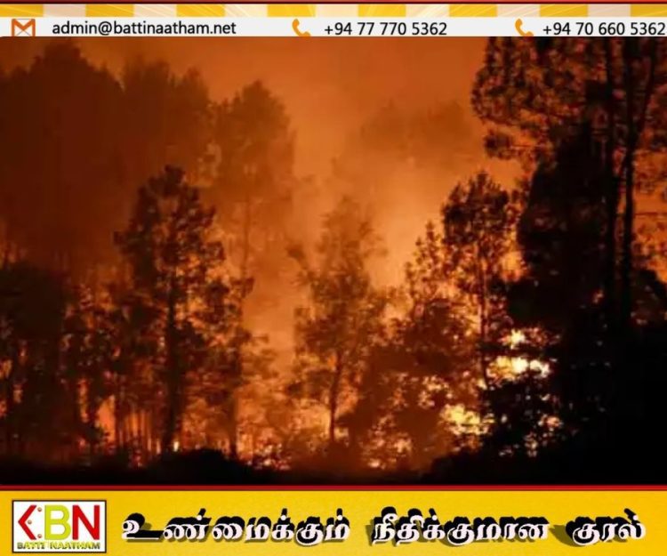 பிரான்சில் காட்டுத்தீ தீவிரம்; 1,100 ஹெக்டேர் நிலம் தீக்கிரை!