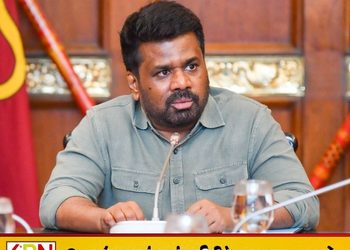 மத்திய மலைநாட்டைப் பாதுகாக்க புதிய அதிகாரசபை; ஜனாதிபதி அறிவிப்பு!