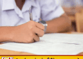 புலமைப்பரிசில் பரீட்சை நாளை; 2 இலட்சத்து 94 ஆயிரத்துக்கும் மேற்பட்ட மாணவர்கள் தோற்றவுள்ளனர்!