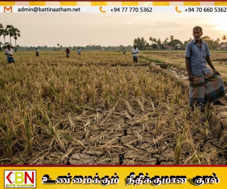 வறட்சியால் சேதமடைந்த நெற்பயிர்களுக்கு விரைவில் நட்டஈடு!