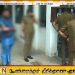டெங்கு கட்டுப்பாட்டு பணிகளில் இருந்து விலகும் இலங்கை பொதுச் சுகாதாரப் பரிசோதகர்கள்!