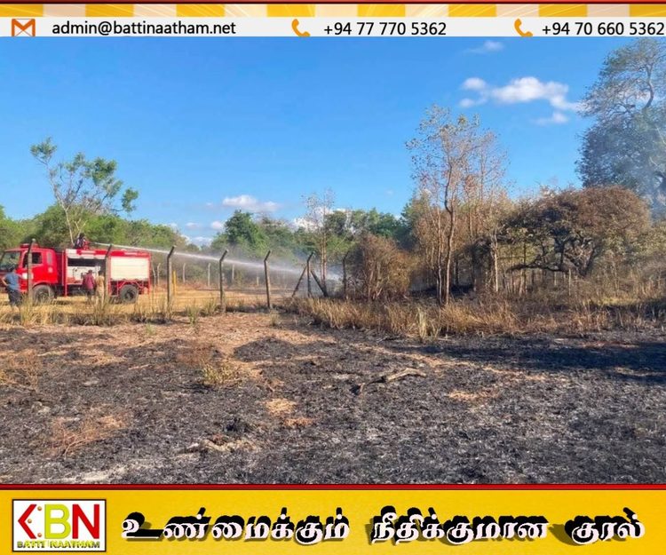 வவுனியா புரவசம்குளத்தில் காட்டுத்தீ; விமானப்படையினரால் கட்டுப்பாட்டுக்குள் கொண்டுவரப்பட்டது